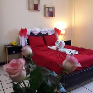 Alme Hostel